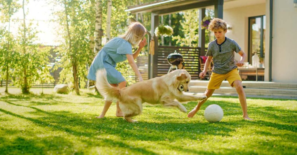 Tips on How to Keep Your Synthetic Lawn Healthy and Smelling Fresh