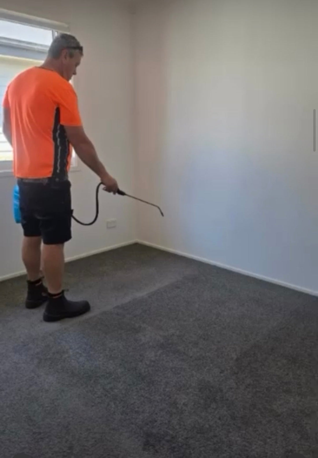 Moving Out? How to Remove Pet Odours Before Your Rental Inspection