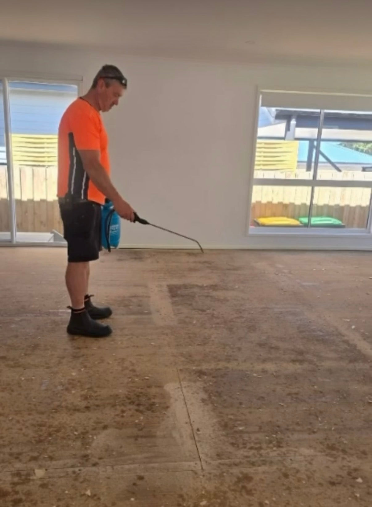 How to Protect Timber and Hard Floors from Pet Stains and Odour