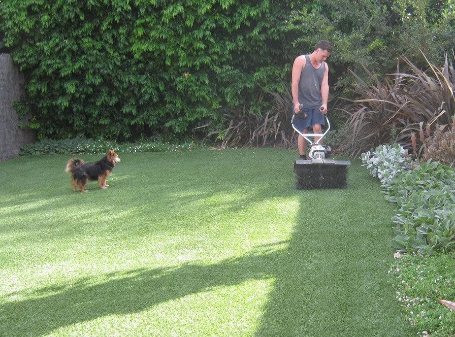 How to choose a quality artificial pet turf installer? - smellBgone