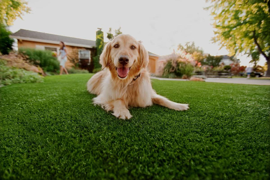 Why Does My Fake Grass Smell?