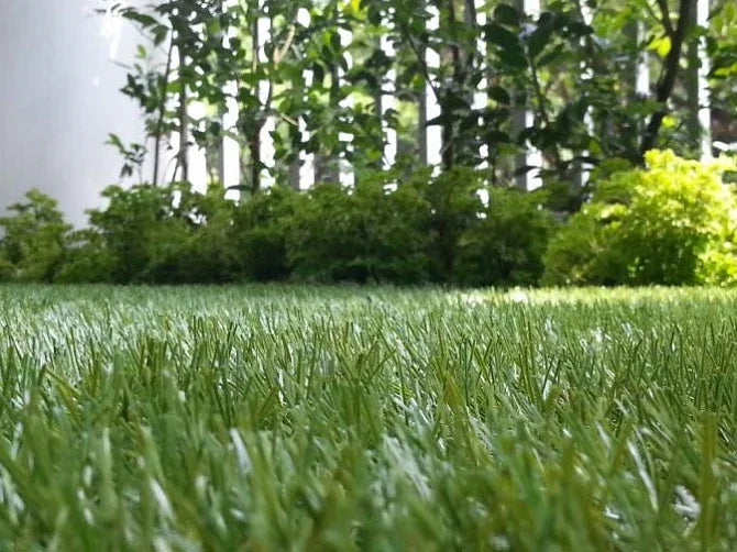 5 Myths About Artificial Grass - smellBgone