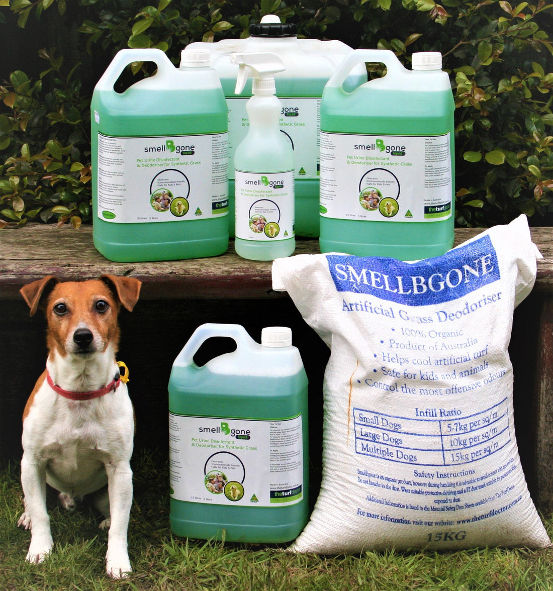 A Season-by-Season Guide to Managing Pet Odours at Home