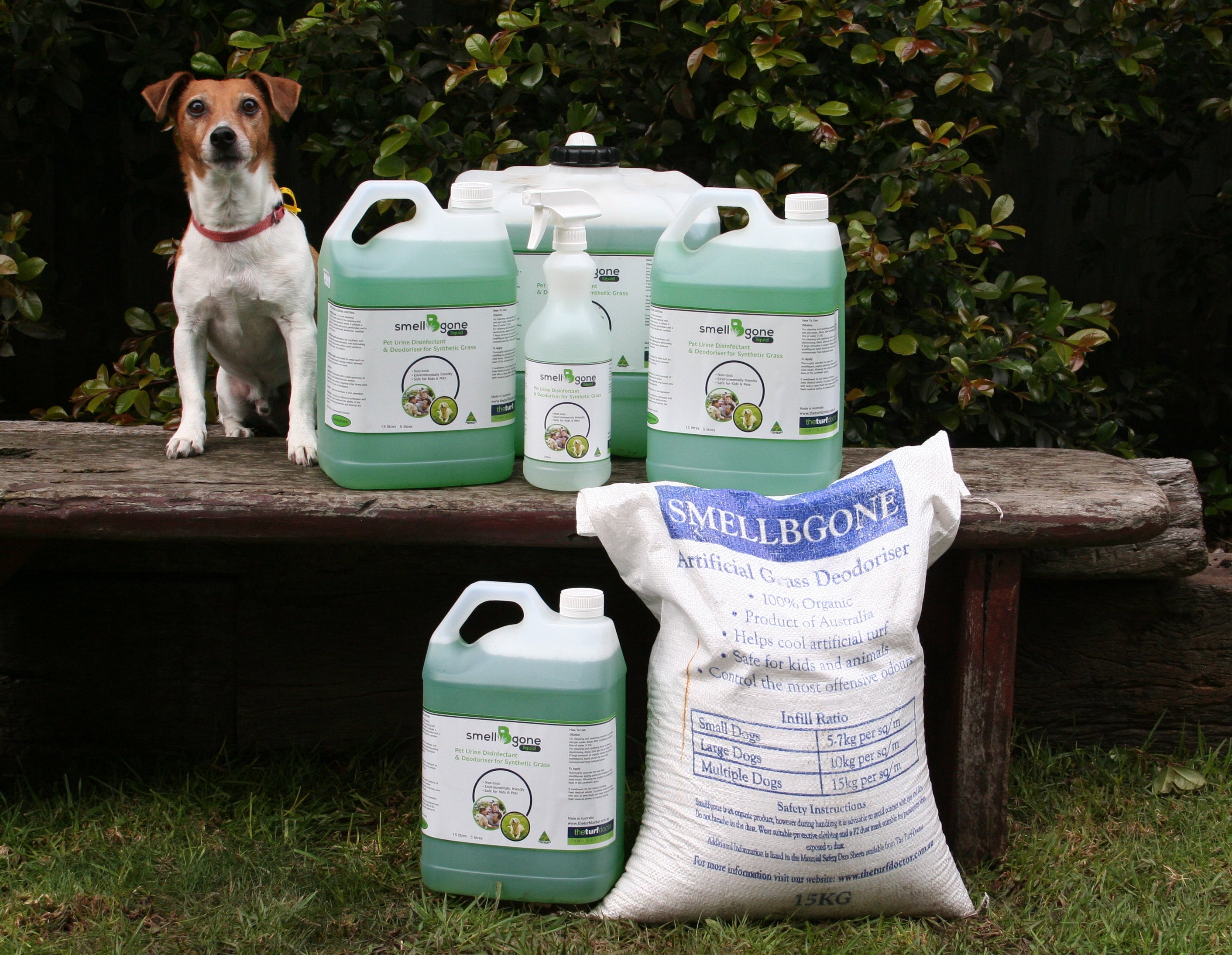 A small brown and white dog sits on a wooden bench next to several large containers and a spray bottle of Smellbgone cleaner and a 15kg bag of Smellbgone artificial grass deodoriser on the grass. Shrubs are in the background.