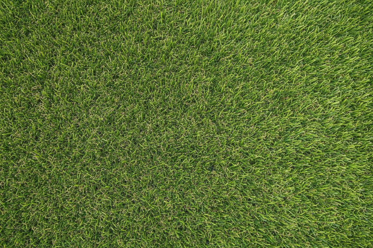 Close-up view of lush, green grass blades forming a dense and even surface, suggesting a well-maintained lawn or field.